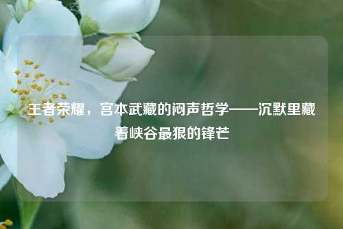 王者荣耀,宫本武藏的闷声哲学——沉默里藏着峡谷最狠的锋芒
