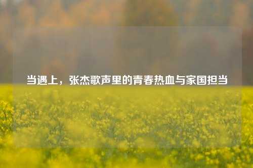 当遇上,张杰歌声里的青春热血与家国担当