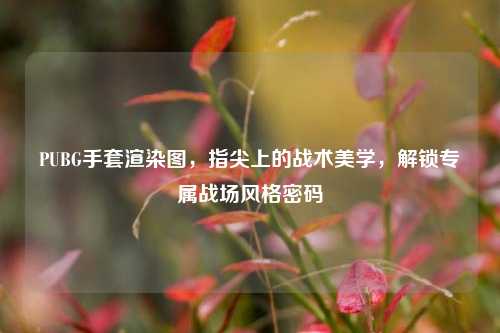 PUBG手套渲染图,指尖上的战术美学,解锁专属战场风格密码