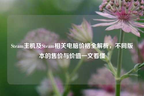 Steam主机及Steam相关电脑价格全解析,不同版本的售价与价值一文看懂