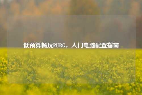 低预算畅玩PUBG,入门电脑配置指南