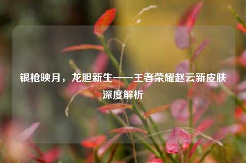 银枪映月,龙胆新生——王者荣耀赵云新皮肤深度解析