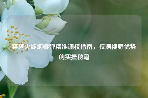穿越火线烟雾弹精准调校指南,拉满视野优势的实操秘籍