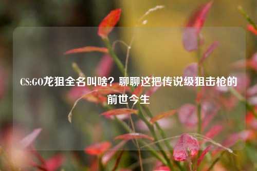 CS:GO龙狙全名叫啥?聊聊这把传说级狙击枪的前世今生