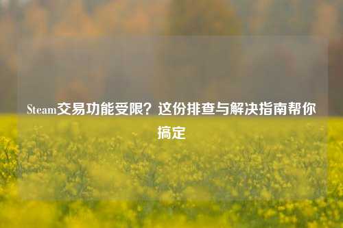 Steam交易功能受限?这份排查与解决指南帮你搞定