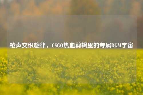 枪声交织旋律,CSGO热血剪辑里的专属BGM宇宙
