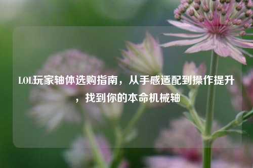 LOL玩家轴体选购指南,从手感适配到操作提升,找到你的本命机械轴