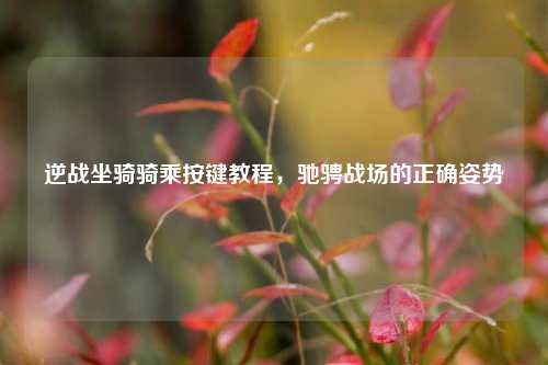 逆战坐骑骑乘按键教程,驰骋战场的正确姿势