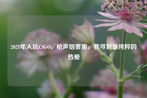 2021年入坑CSGO,枪声烟雾里,我寻到最纯粹的热爱