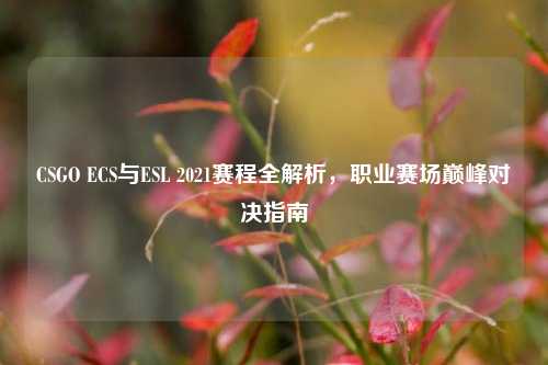 CSGO ECS与ESL 2021赛程全解析,职业赛场巅峰对决指南