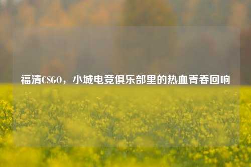 福清CSGO,小城电竞俱乐部里的热血青春回响