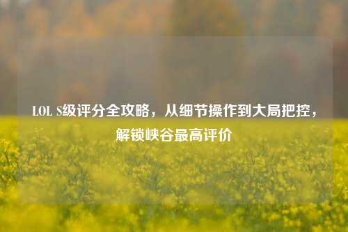 LOL S级评分全攻略,从细节操作到大局把控,解锁峡谷更高评价