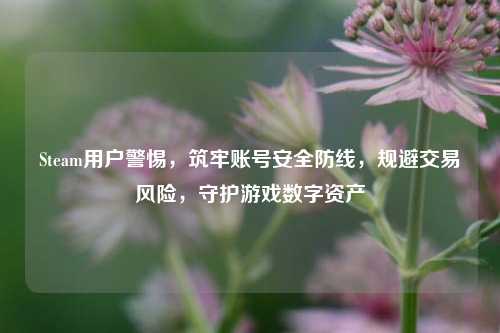 Steam用户警惕,筑牢账号安全防线,规避交易风险,守护游戏数字资产