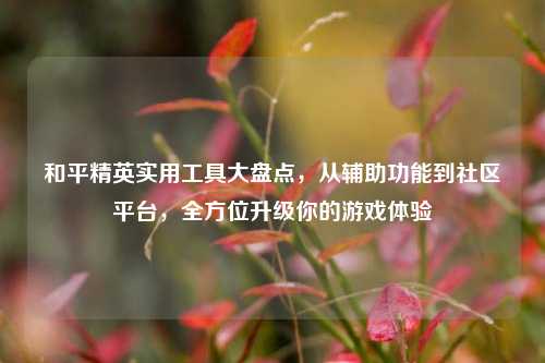 和平精英实用工具大盘点,从辅助功能到社区平台,全方位升级你的游戏体验