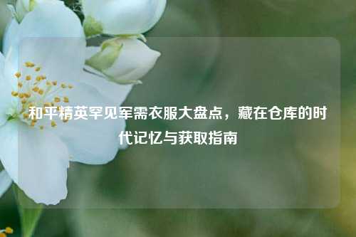和平精英罕见军需衣服大盘点,藏在仓库的时代记忆与获取指南