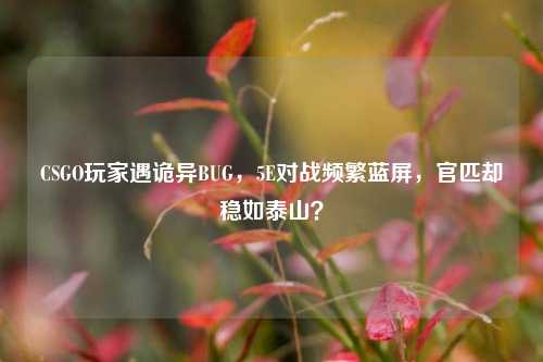 CSGO玩家遇诡异BUG，5E对战频繁蓝屏，官匹却稳如泰山？