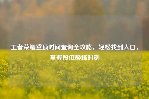 王者荣耀登顶时间查询全攻略，轻松找到入口，掌握段位巅峰时刻