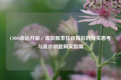 CSGO命运开箱，虚拟概率狂欢背后的现实思考与低价钥匙购买指南