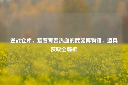 逆战仓库,藏着青春热血的武器博物馆,道具获取全解析
