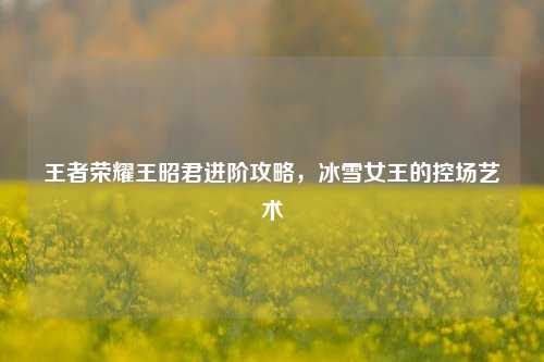 王者荣耀王昭君进阶攻略,冰雪女王的控场艺术