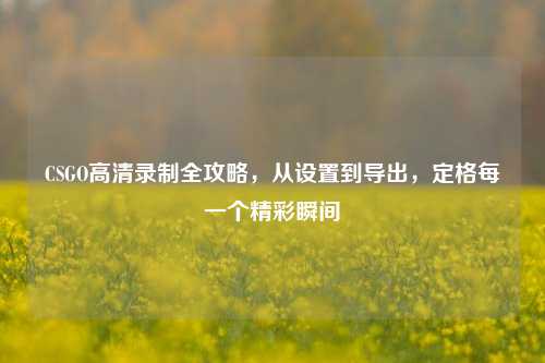 CSGO高清录制全攻略，从设置到导出，定格每一个精彩瞬间