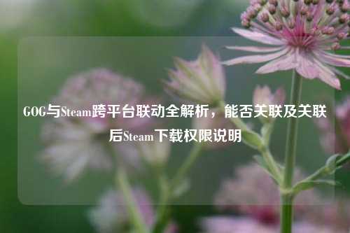 GOG与Steam跨平台联动全解析，能否关联及关联后Steam下载权限说明