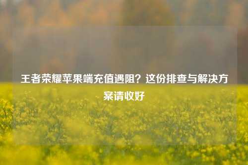 王者荣耀苹果端充值遇阻？这份排查与解决方案请收好