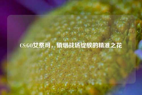 CS:GO女祭司，硝烟战场绽放的精准之花