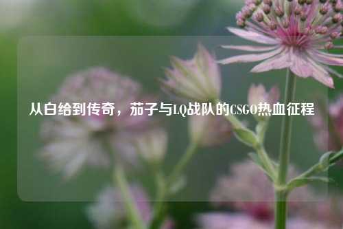 从白给到传奇，茄子与LQ战队的CSGO热血征程