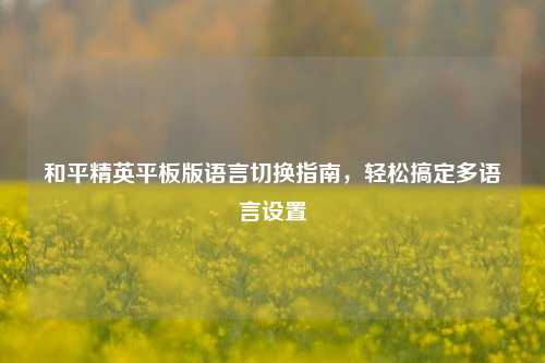 和平精英平板版语言切换指南，轻松搞定多语言设置