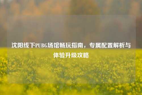沈阳线下PUBG场馆畅玩指南，专属配置解析与体验升级攻略