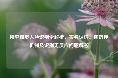 和平精英人脸识别全解析，实名认证、防沉迷机制及识别无反应问题解答