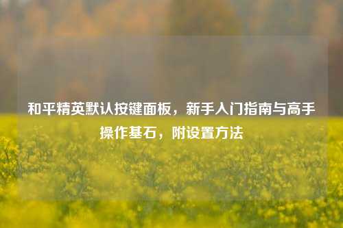 和平精英默认按键面板，新手入门指南与高手操作基石，附设置     