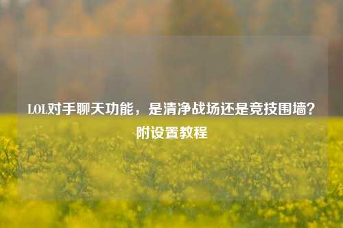 LOL对手聊天功能，是清净战场还是竞技围墙？附设置教程