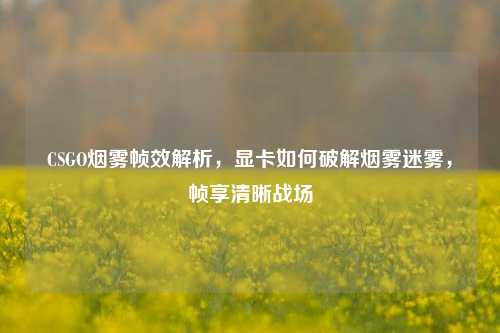 CSGO烟雾帧效解析，显卡如何破解烟雾迷雾，帧享清晰战场