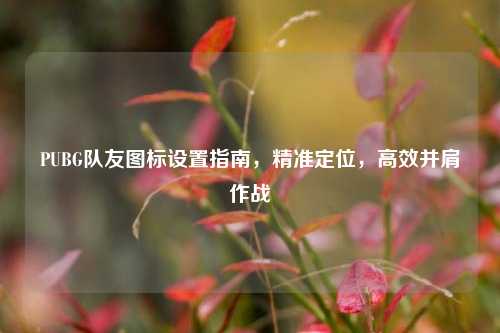 PUBG队友图标设置指南,精准定位,高效并肩作战