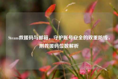 Steam救援码与邮箱,守护账号安全的双重防线,附救援码位数解析