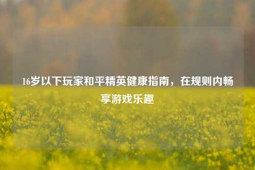 16岁以下玩家和平精英健康指南,在规则内畅享游戏乐趣
