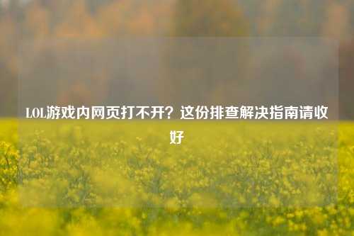LOL游戏内网页打不开?这份排查解决指南请收好