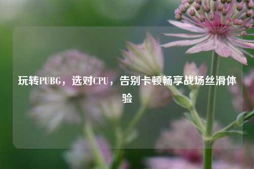 玩转PUBG,选对CPU,告别卡顿畅享战场丝滑体验
