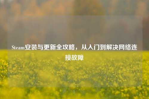 Steam安装与更新全攻略,从入门到解决 连接故障