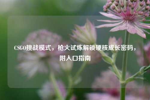 CSGO挑战模式,枪火试炼解锁硬核成长密码,附入口指南