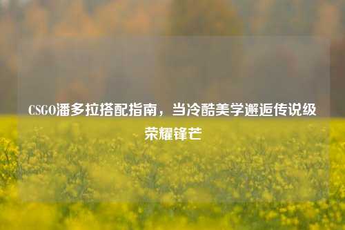 CSGO潘多拉搭配指南,当冷酷美学邂逅传说级荣耀锋芒