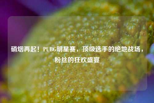 硝烟再起!PUBG明星赛,顶级选手的绝地战场,粉丝的狂欢盛宴
