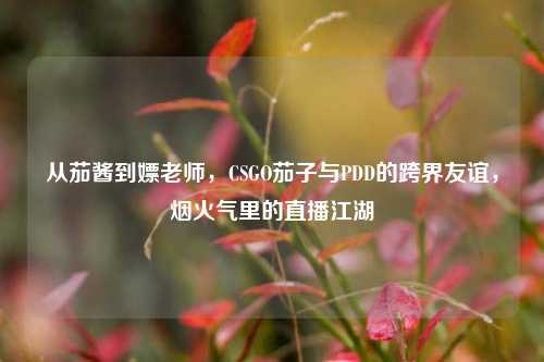 从茄酱到嫖老师,CSGO茄子与PDD的跨界友谊,烟火气里的直播江湖