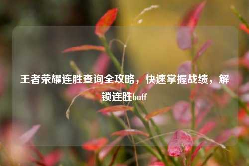 王者荣耀连胜查询全攻略,快速掌握战绩,解锁连胜buff