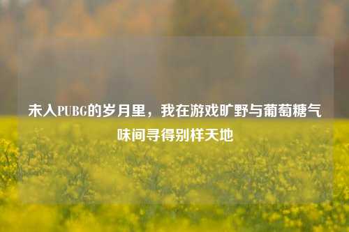 未入PUBG的岁月里,我在游戏旷野与葡萄糖气味间寻得别样天地
