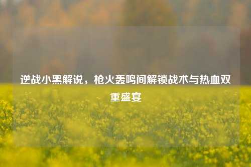 逆战小黑解说,枪火轰鸣间解锁战术与热血双重盛宴
