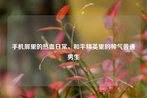 手机屏里的热血日常,和平精英里的帅气普通男生