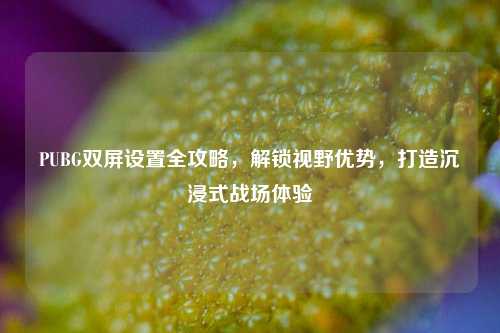 PUBG双屏设置全攻略,解锁视野优势,打造沉浸式战场体验